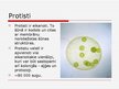 Prezentācija 'Monēras un protisti', 6.