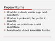 Prezentācija 'Monēras un protisti', 9.