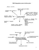 Konspekts 'Pedagoģiskās prakses darba plāns', 3.