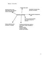 Konspekts 'Pedagoģiskās prakses darba plāns', 6.