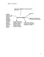 Konspekts 'Pedagoģiskās prakses darba plāns', 7.