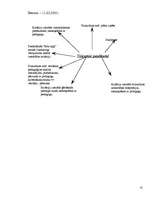 Konspekts 'Pedagoģiskās prakses darba plāns', 10.