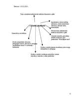 Konspekts 'Pedagoģiskās prakses darba plāns', 13.