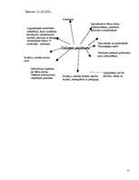 Konspekts 'Pedagoģiskās prakses darba plāns', 15.