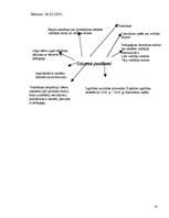 Konspekts 'Pedagoģiskās prakses darba plāns', 18.