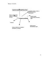 Konspekts 'Pedagoģiskās prakses darba plāns', 19.