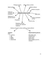 Konspekts 'Pedagoģiskās prakses darba plāns', 48.