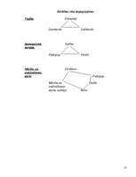 Konspekts 'Pedagoģiskās prakses darba plāns', 55.
