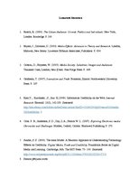 Referāts 'Interneta mediju patēriņa sociālie efekti auditorijās un sniegtās informācijas t', 9.