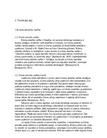 Referāts 'Klientu piesaiste, saglabāšana un skaita palielināšanas metodes un to rezultativ', 4.