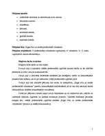 Diplomdarbs 'Rīgas Stila un modes profesionālās vidusskolas konkurētspējas veicināšana', 5.