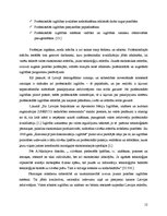 Diplomdarbs 'Rīgas Stila un modes profesionālās vidusskolas konkurētspējas veicināšana', 12.