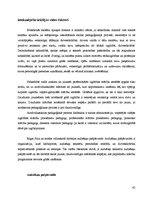 Diplomdarbs 'Rīgas Stila un modes profesionālās vidusskolas konkurētspējas veicināšana', 42.