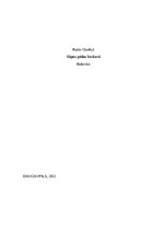 Referāts 'Sāpes pēdas locītavā', 10.