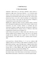 Referāts 'Sāpes pēdas locītavā', 13.