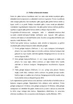 Referāts 'Sāpes pēdas locītavā', 15.