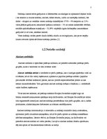 Referāts 'Tiešie nodokļi un to atvieglojumi', 5.