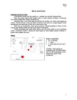 Referāts '11 mēnešu veca bērna novērojums', 1.