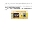 Referāts 'Produkta reklāmas raksturojums', 5.