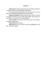 Referāts 'Produkta reklāmas raksturojums', 6.