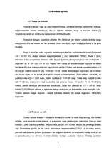 Referāts 'Ielu trokšņa ietekmes novērtējums uz cilvēku labsajūtu divās Bauskas pilsētas da', 5.