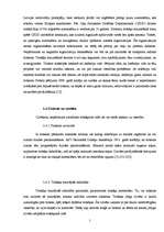 Referāts 'Ielu trokšņa ietekmes novērtējums uz cilvēku labsajūtu divās Bauskas pilsētas da', 7.