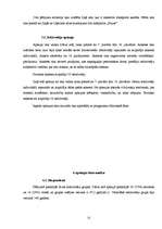 Referāts 'Ielu trokšņa ietekmes novērtējums uz cilvēku labsajūtu divās Bauskas pilsētas da', 12.