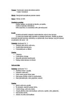 Konspekts 'Daudzciparu skaitļu decimālais sastāvs. 4.klase', 1.