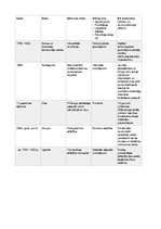 Konspekts 'Zinātnes izgudrojumi, kas ietekmējuši mediju un komunikācijas vēsturi', 2.