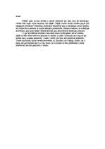 Referāts 'Tetovējumi', 3.