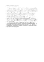 Referāts 'Tetovējumi', 8.