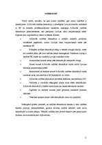 Referāts 'E.Repšes un A.Kalvīša valdības deklarāciju salīdzinājums', 11.