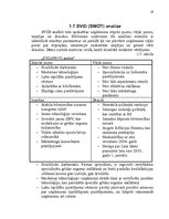 Referāts 'Uzņēmuma "Grīdas" mārketinga vides un stratēģijas analīze un darbības plānošana', 19.