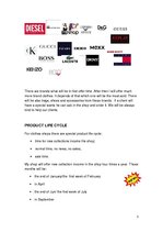 Biznesa plāns 'Business Plan for the "Outlet" Store ', 3.