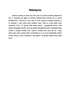 Referāts 'Fonogrāfiskā rakstība skaņu raksta veidā', 6.