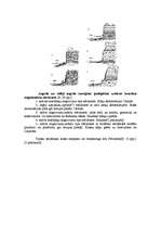 Referāts 'Baltijas jūras krastu erozija', 14.