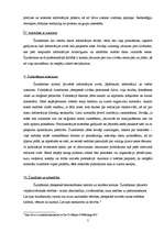 Referāts 'Žurnālistikas ētika Latvijā: ideāls un realitāte', 5.