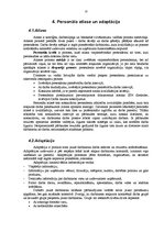 Referāts 'Personālvadības plāns "Skolēnu jaunrades nams"', 13.