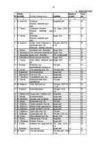 Referāts 'Personālvadības plāns "Skolēnu jaunrades nams"', 26.