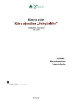 Biznesa plāns 'Kāzu aģentūra "Sniegbaltīte"', 1.