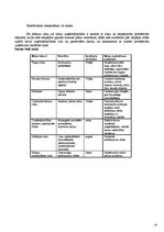 Biznesa plāns 'Kāzu aģentūra "Sniegbaltīte"', 19.