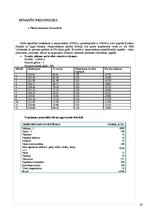 Biznesa plāns 'Kāzu aģentūra "Sniegbaltīte"', 20.