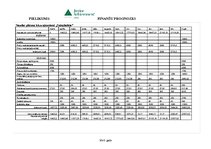 Biznesa plāns 'Kāzu aģentūra "Sniegbaltīte"', 22.