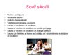 Prezentācija 'Soda veidi', 4.