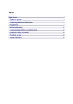 Biznesa plāns 'Biznesa plāns SIA "Brīnumzeme"', 1.