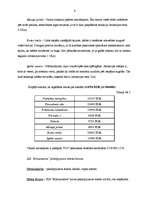 Biznesa plāns 'Biznesa plāns SIA "Brīnumzeme"', 6.