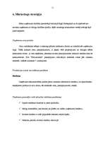 Biznesa plāns 'Biznesa plāns SIA "Brīnumzeme"', 11.