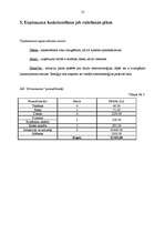 Biznesa plāns 'Biznesa plāns SIA "Brīnumzeme"', 13.