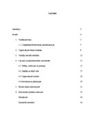 Referāts 'Vadīšanas ētika, organizācijas ētikas kodekss, vadītāja sociālā atbildība', 2.