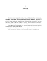 Referāts 'Vadīšanas ētika, organizācijas ētikas kodekss, vadītāja sociālā atbildība', 3.